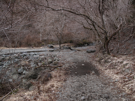 20160204hike (39)